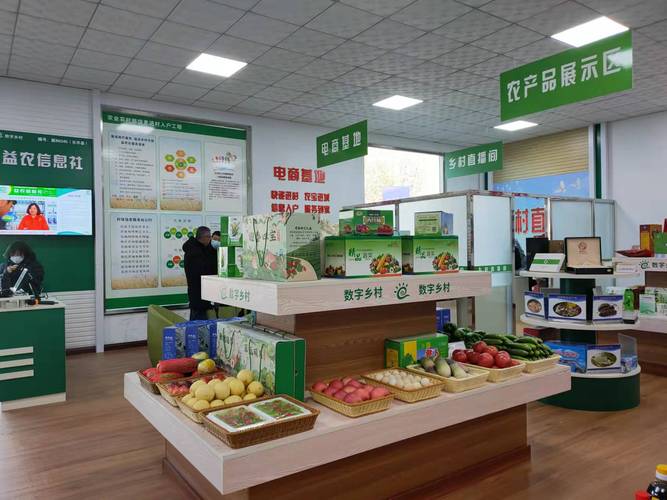 河北首个！乐亭启动数字乡村项目建设，擘画数字文化创意新图景